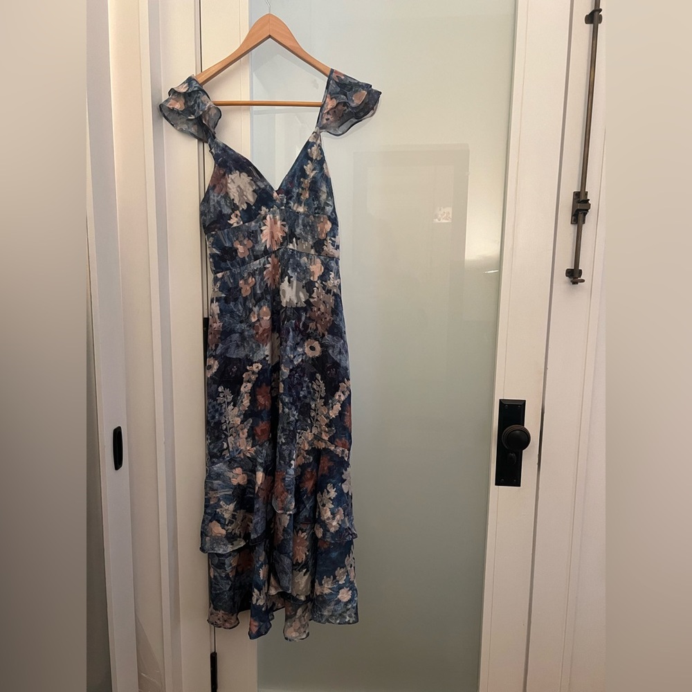 Anthropologie Floral Midi Dress - Blue and White